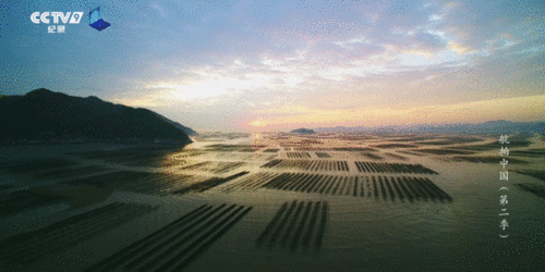 航拍中国高清在线观看,空中视角下的壮丽画卷 第3张 航拍中国高清在线观看,空中视角下的壮丽画卷 第3张