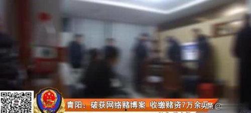 成都赌博爆料事件视频,视频揭露惊人内幕  第3张